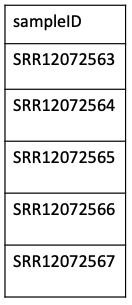 _images/sample_list_example.png